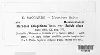 Marssonina kriegeriana image